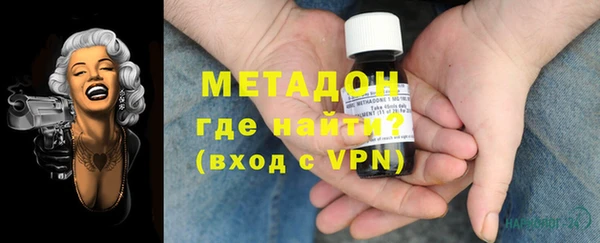 стаф Алзамай