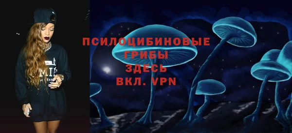 стаф Алзамай