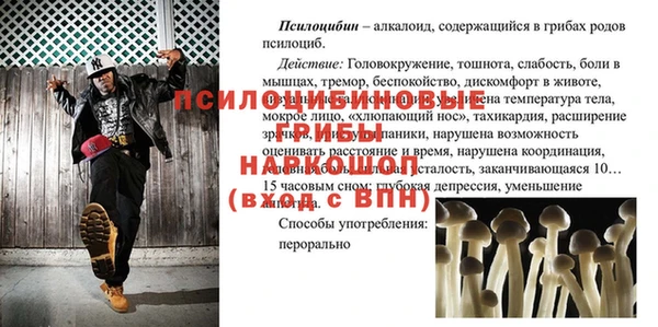 спайс Абинск