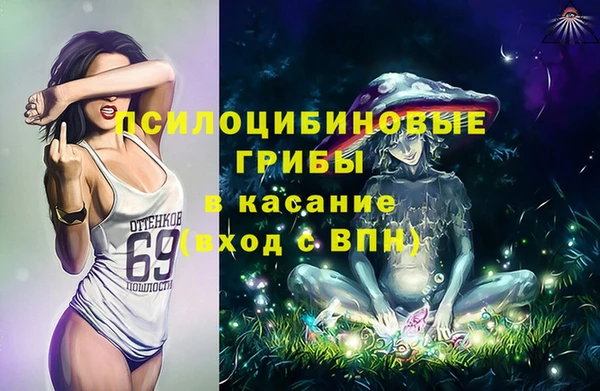 меф Алексин