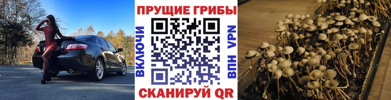 Псилоцибиновые грибы мицелий  shop наркотические препараты  Зарайск 